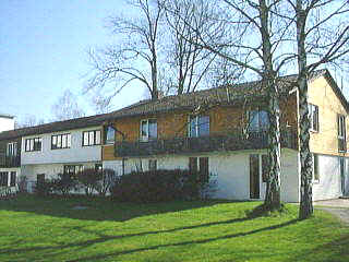 "Bienenstock" (Jungen 5./6. Jgst.)